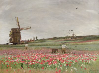 Champ de coquelicots, 1886 - David Murray